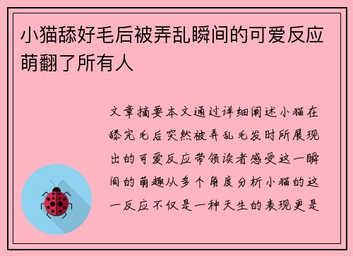 小猫舔好毛后被弄乱瞬间的可爱反应萌翻了所有人