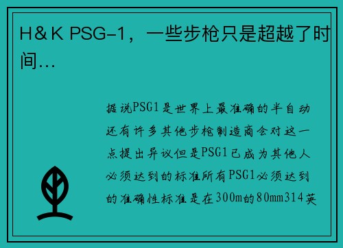 H＆K PSG-1，一些步枪只是超越了时间…