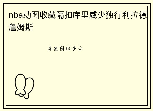 nba动图收藏隔扣库里威少独行利拉德詹姆斯